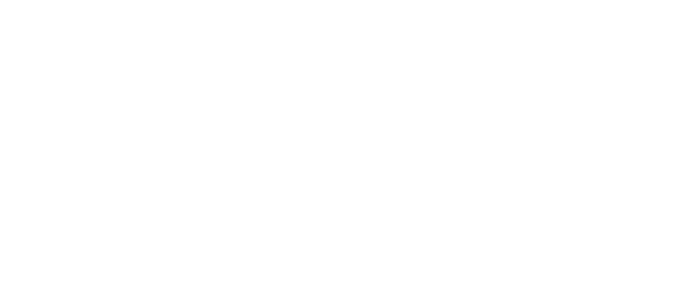 VIBRI Consortium
